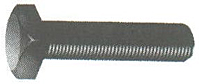 Square Head Tap Bolts