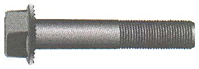 Serrated Flange Bolts
